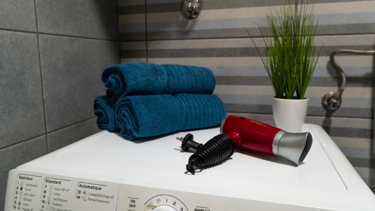 Central Fenix Apartment - Free Private Parking-Fast Wi-Fi Νόβι Σαντ Εξωτερικό φωτογραφία